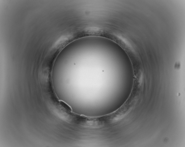 X0000092000744200709061438