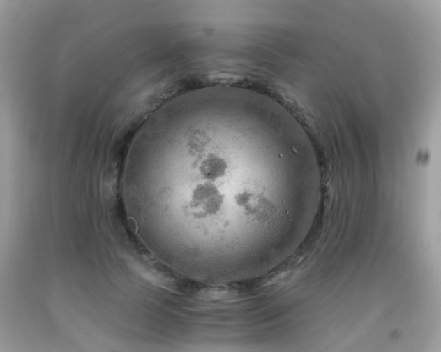 X0000092000745200709061438