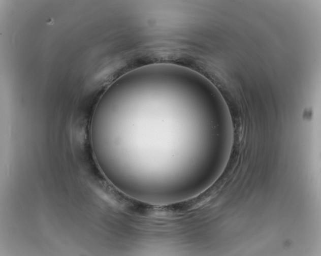 X0000092000746200709061438