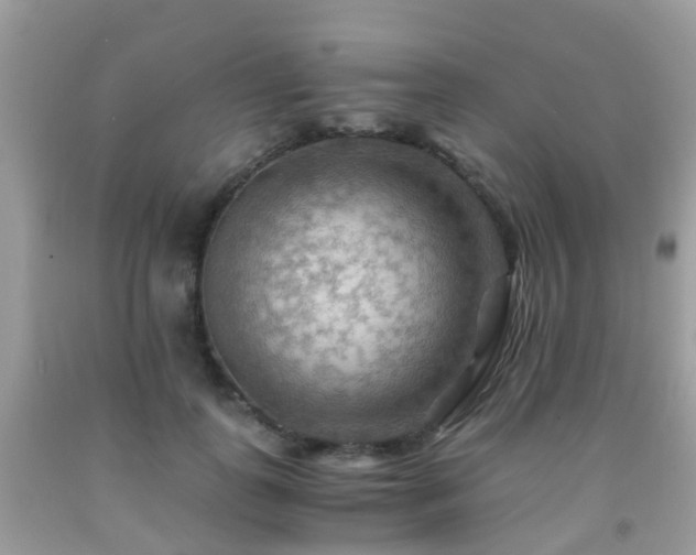 X0000092000747200709061438