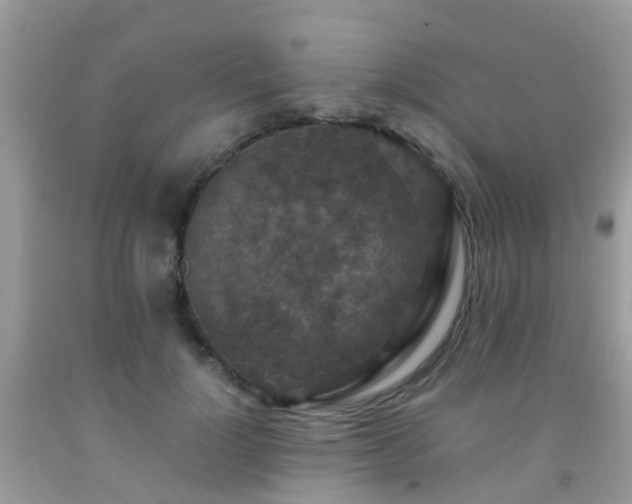 X0000092000748200709061438