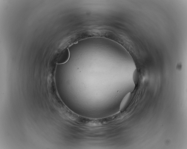 X0000092000749200709061438