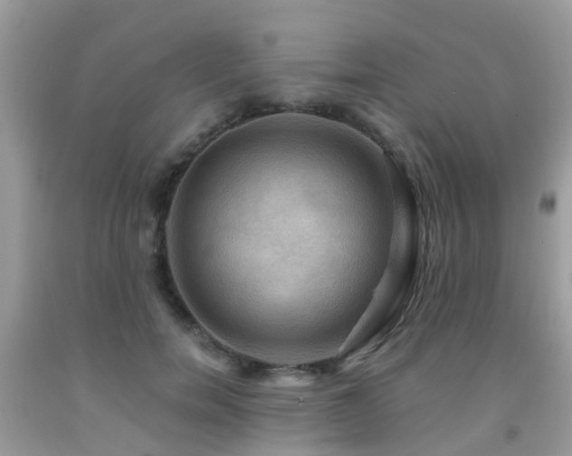 X0000092000750200709061438