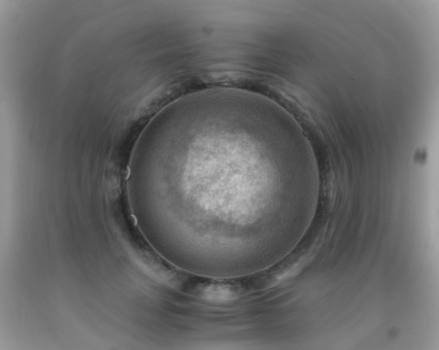 X0000092000751200709061438