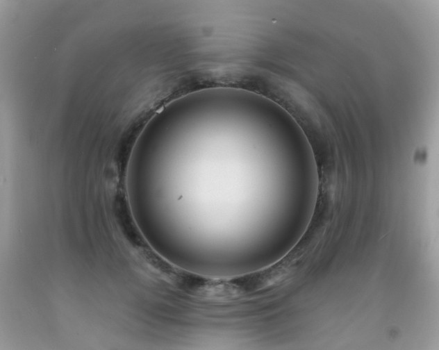 X0000092000752200709061438