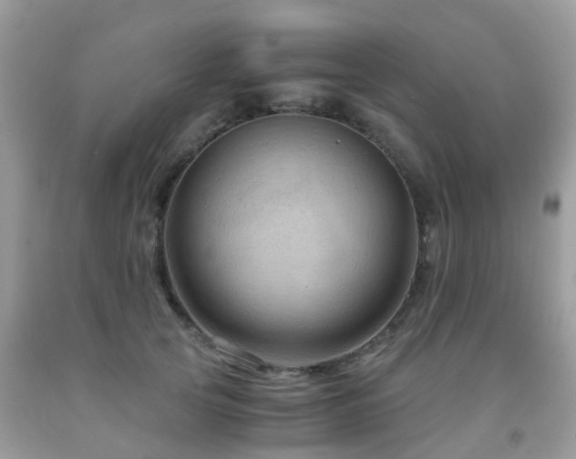 X0000092000753200709061438