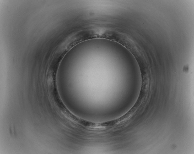 X0000092000754200709061438