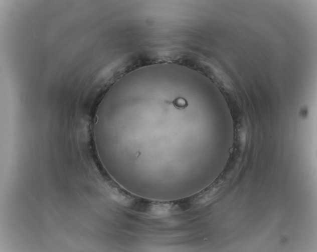 X0000092000757200709061438