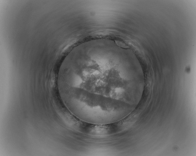 X0000092000758200709061438