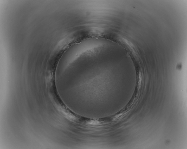 X0000092000759200709061438