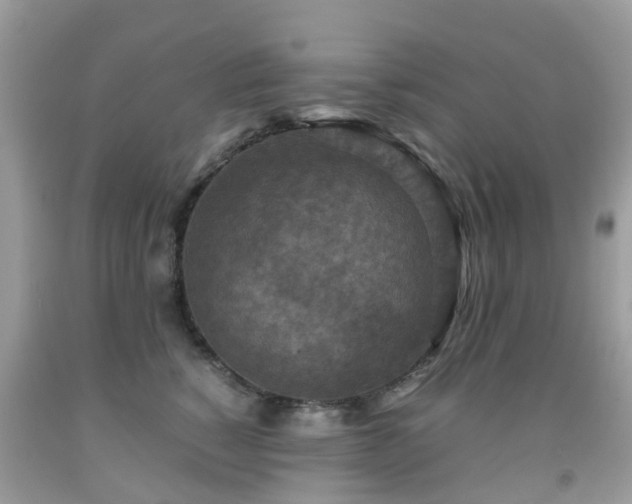 X0000092000760200709061438