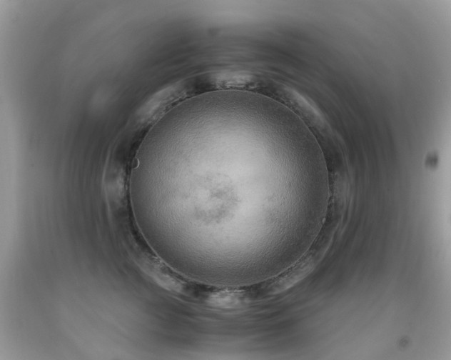 X0000092000761200709061438