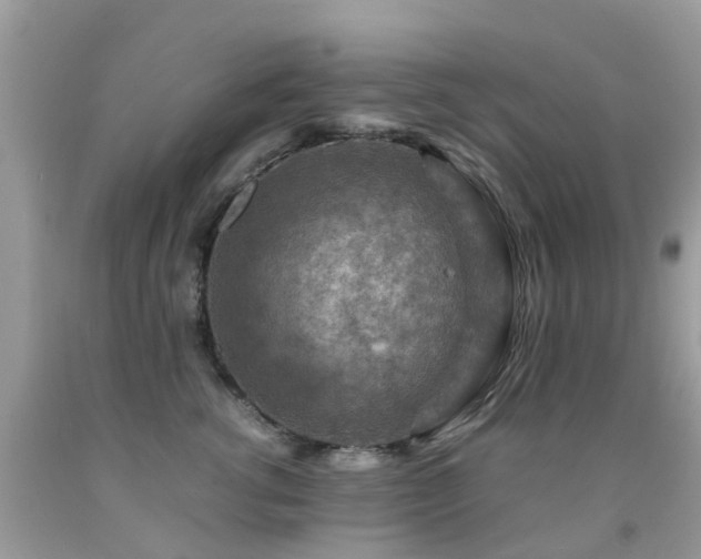 X0000092000762200709061438