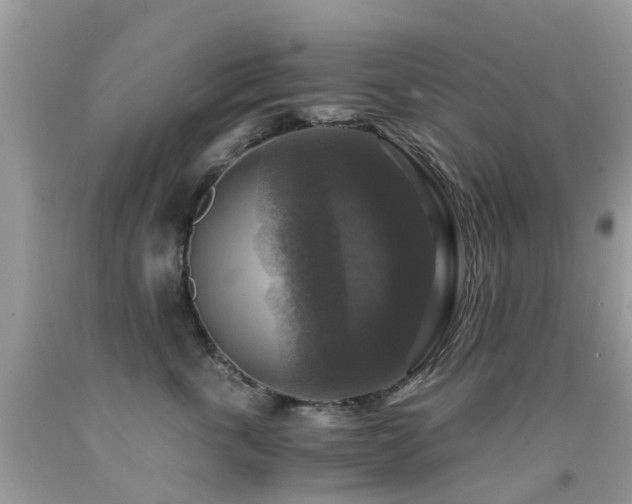 X0000092000763200709061438