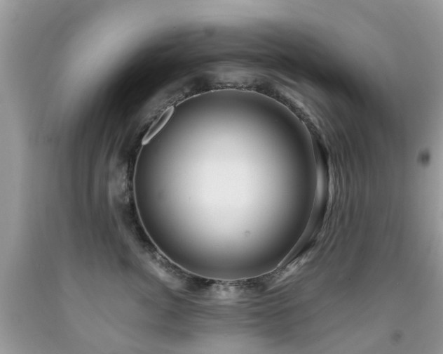 X0000092000764200709061438