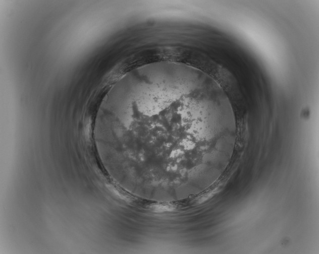 X0000092000765200709061438