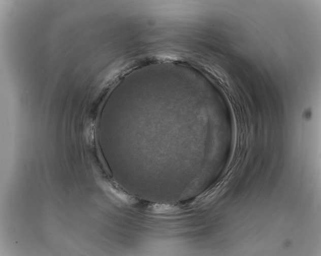 X0000092000766200709061438