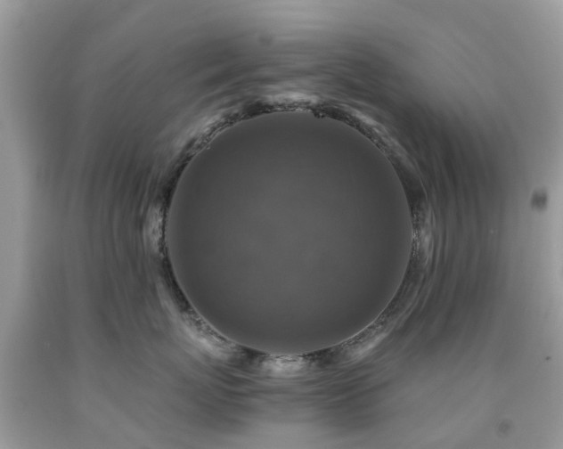 X0000092000767200709061438