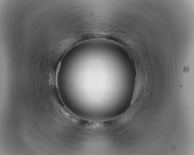 X0000092000768200709061438