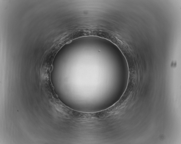 X0000092000770200709061438