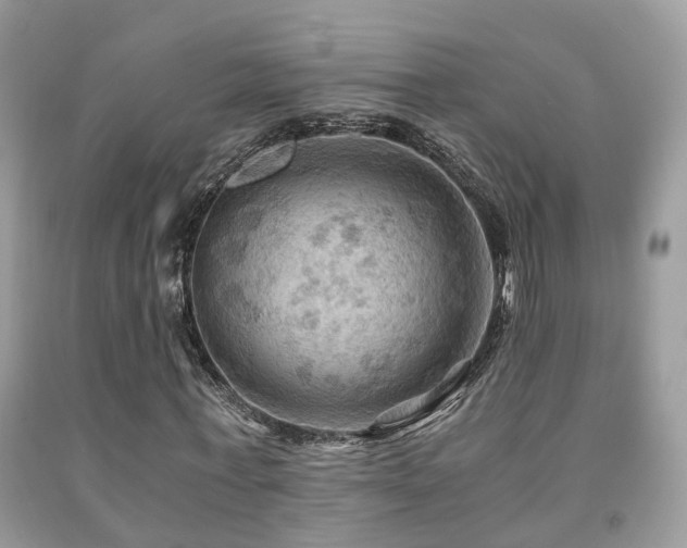 X0000092000771200709061438