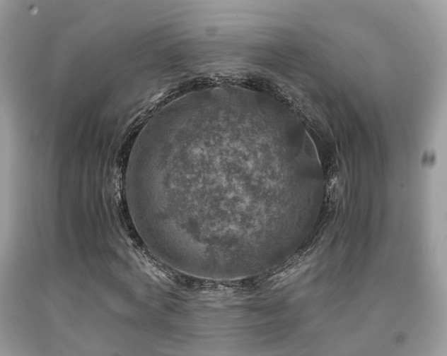 X0000092000772200709061438