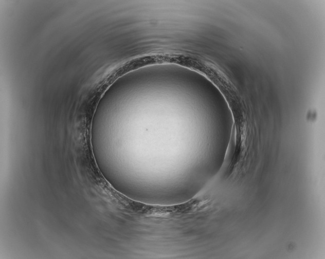 X0000092000773200709061438