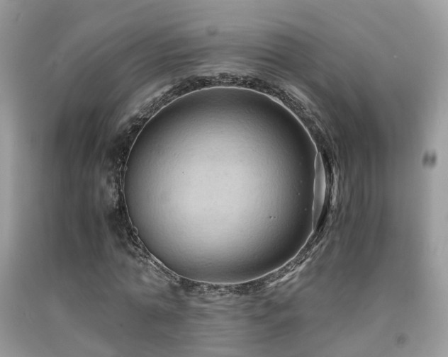 X0000092000774200709061438