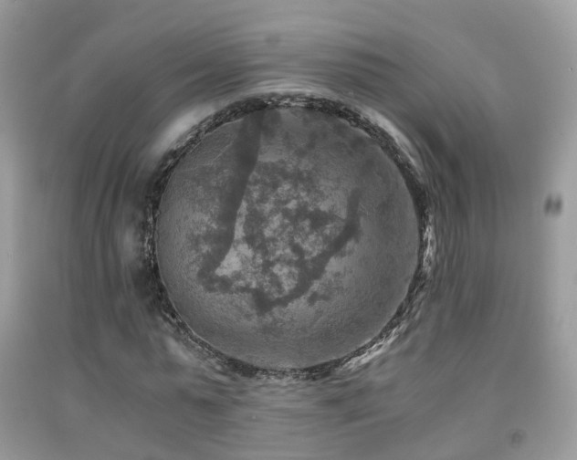 X0000092000775200709061438