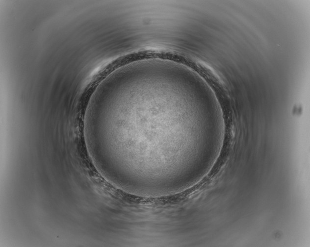 X0000092000776200709061438