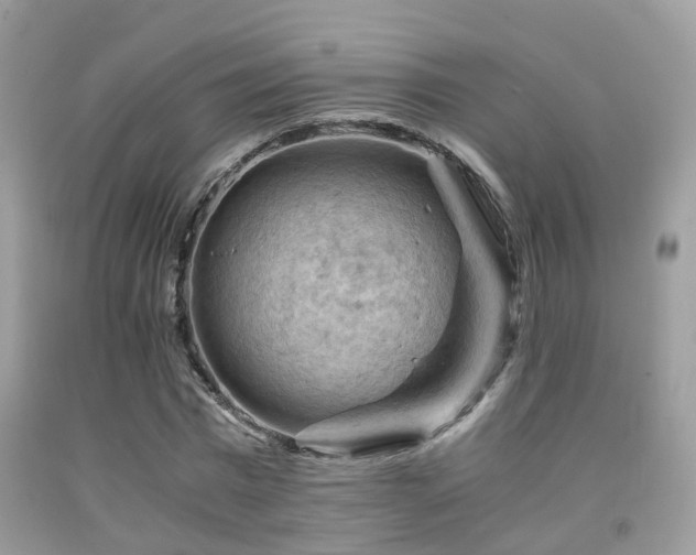 X0000092000777200709061438