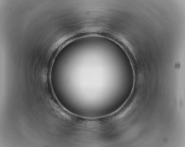 X0000092000778200709061438