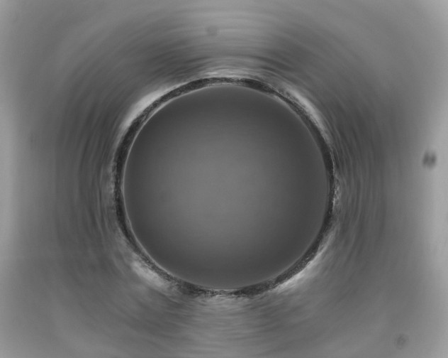 X0000092000779200709061438