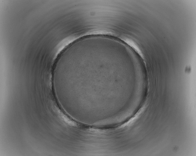 X0000092000781200709061438