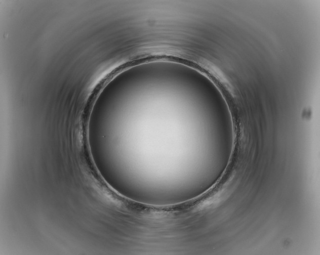 X0000092000782200709061438