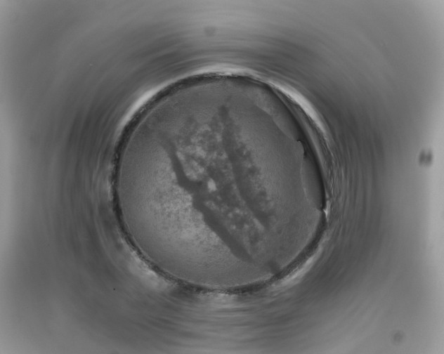 X0000092000783200709061438