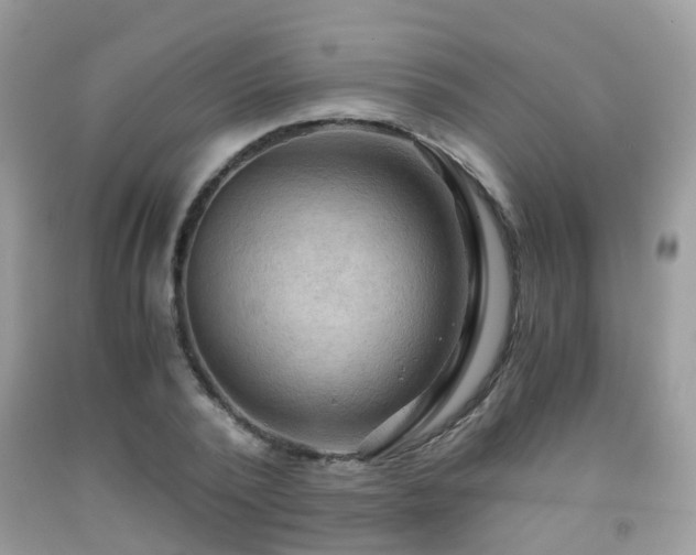 X0000092000784200709061438