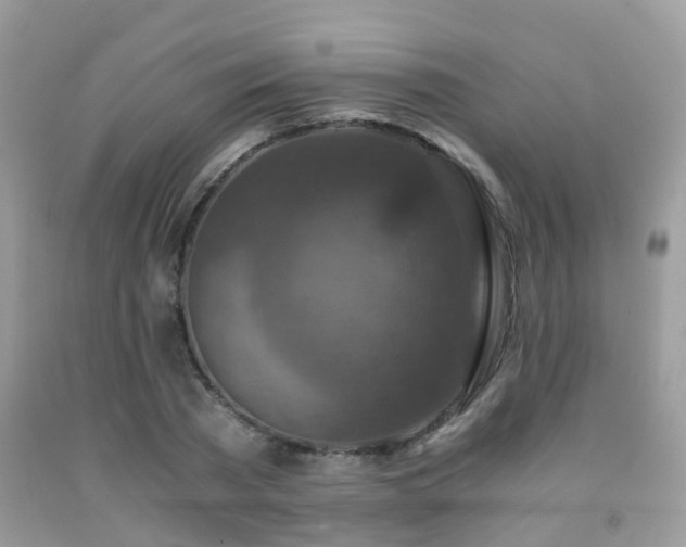 X0000092000785200709061438