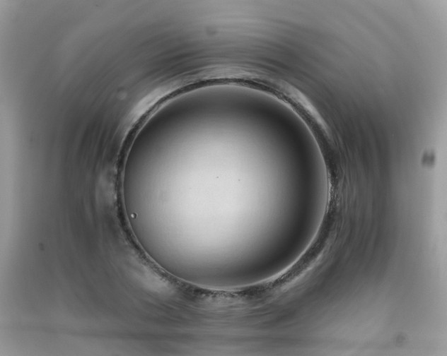 X0000092000786200709061438