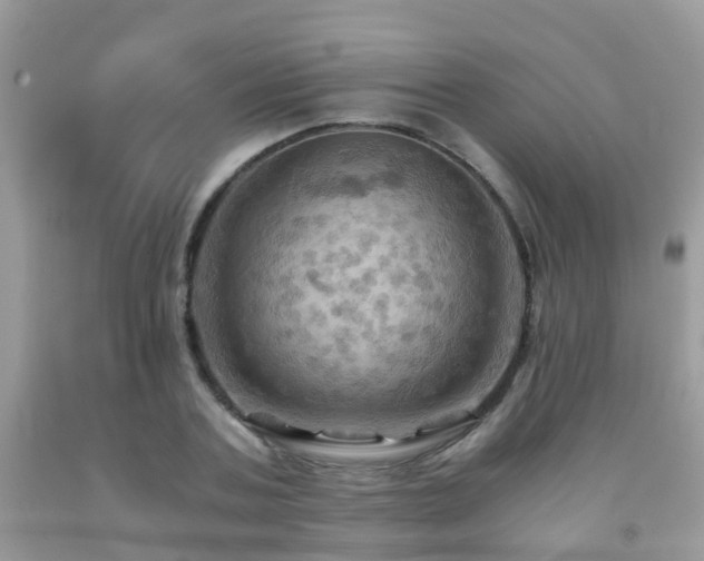 X0000092000787200709061438