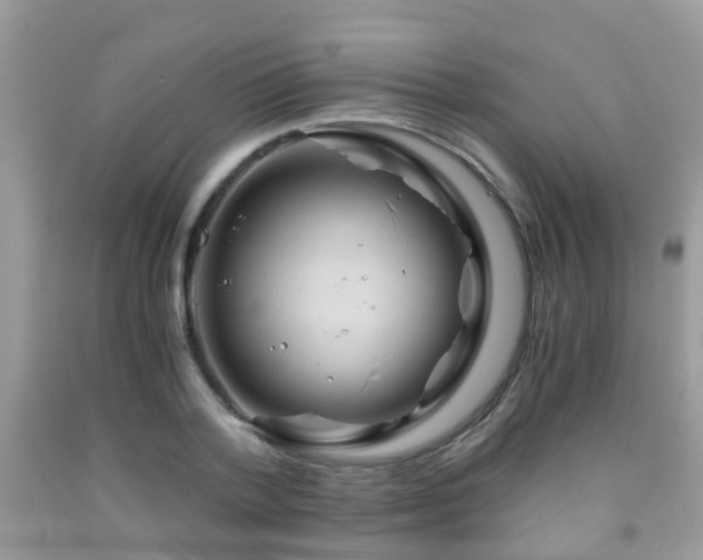 X0000092000788200709061438