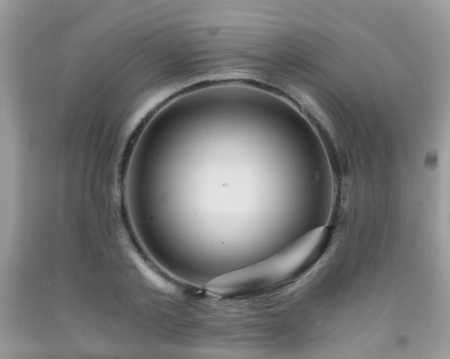 X0000092000789200709061438