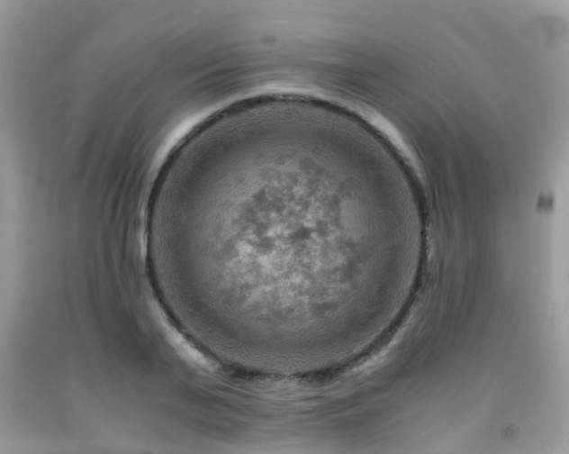 X0000092000791200709061438