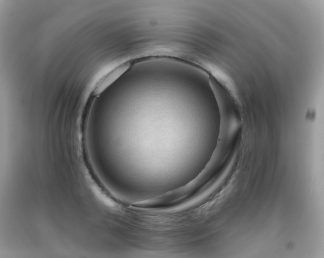 X0000092000792200709061438