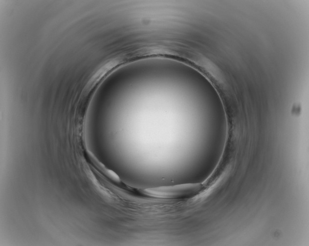 X0000092000793200709061438