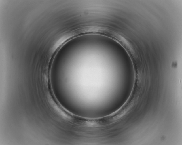 X0000092000794200709061438