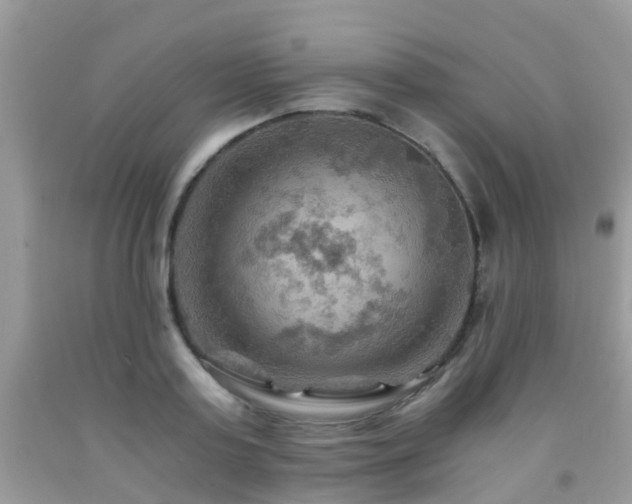 X0000092000795200709061438