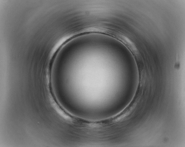 X0000092000796200709061438