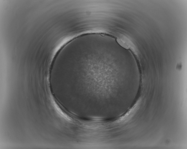 X0000092000797200709061438