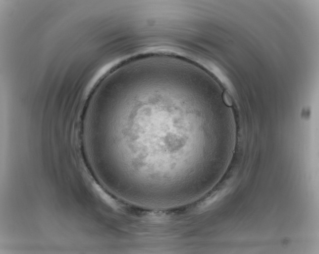 X0000092000799200709061438